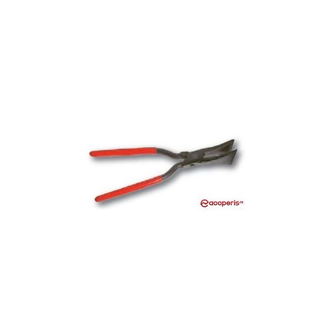 Cleste faltuit drept